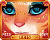 [Pets]Pawla | face beads