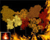HF Sardar Trees-Fall