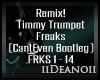 Timmy Trumpet - Freaks