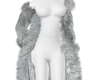 Alex Silver Coat 2025