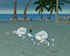 (K) JI Poufs / pillows