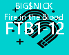 BIG$NICK Fire in the Blo