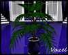 -V- Purple Plant