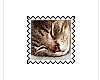 Cat stamp