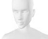 +·。