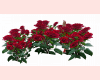 EVD Red Rose Animated