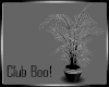 Club Boo Plant