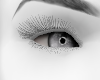 EA/ Grey Eyes Female