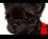 Adopt a Yorki 5