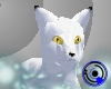 Foxxie Kitty - Arctic