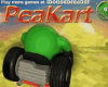 P-Kart Racing Game (new)