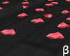 β Red Rose Petals