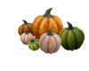 Pumpkins Deco