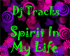 DJ Tracks-Spirit In Life