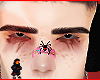 Cansu brows