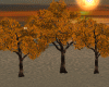 Autumn Fall Trees