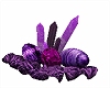 Purple drake egs