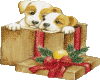 Christmas Puppy Gifts