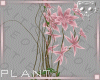 Plant Pink 3a Ⓚ