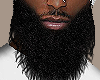 Curly Beard $