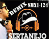 Sertanejo remix