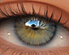 A1 Kata gold  Eyes