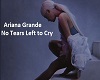 No Tears Left To Cry