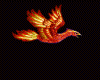 Beautiful Flying Phoenix