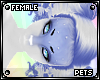 [Pets] Ferre | hair v4