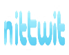 Nittwit Logo Transparent