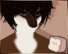 ⊹ Acorn Usih