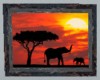 Safari picture