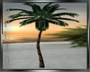 Tropical Island (Palm)