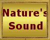 Nature Ambience Sounds
