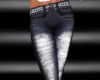 DION Jeans ~SX~ *N*