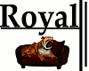 Royal Bulldog W/Bed Ani