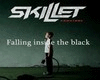 Skillet Inside The Black