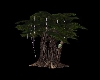 [L]Avatar Sacred Tree