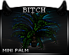 !B Paradise MIni Palm