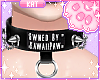 🐾 KawaiiPaw Owned 1