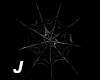 J~Animated Spider Web