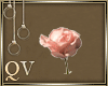 :QV: Lovely Rose