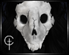 [CVT]Cracked Feral Skull
