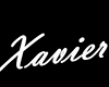 Xavier necklace
