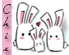 Lovely Rabbitz :D