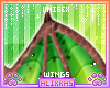 🌸; Kiwi Wings
