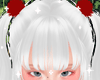 ♡ Meru White