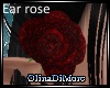 (OD) My Rose