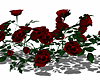 ⛧ Red Rose Bush