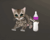 Baby Kitten + Bottle